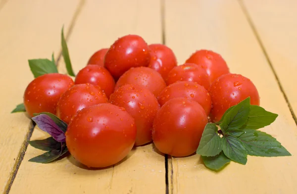 Tomatos and basil — Stock Photo, Image