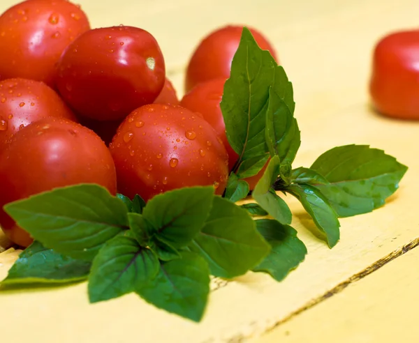 Tomatos and basil — Stock Photo, Image