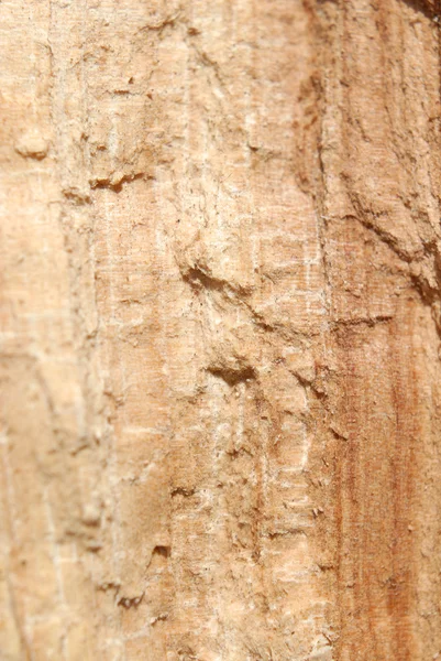 stock image Old wood