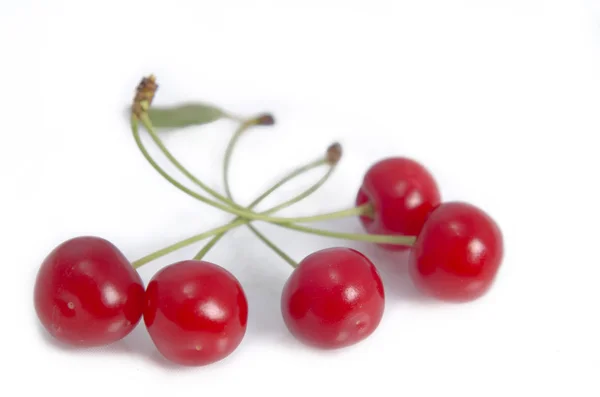 stock image Cherries isolated on white