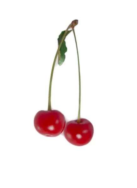 Two cherries isolated — Stock Photo, Image