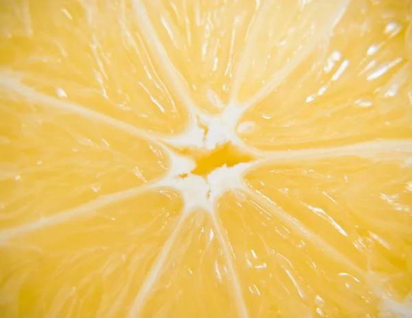 Lemon macro — Stock Photo, Image