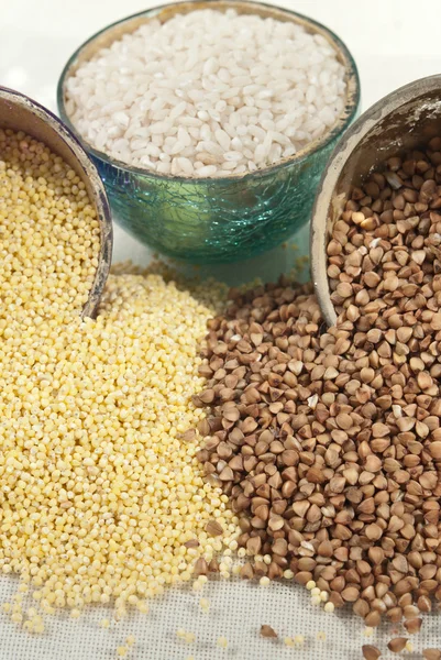 Essential grains — Stock Photo, Image