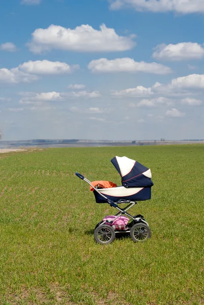 Bebé buggy en campo de primavera — Foto de Stock