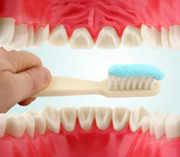 Usta od wewnątrz i szczoteczka do zębów — Zdjęcie stockowe