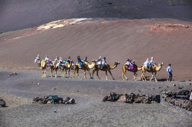 turistler binmek aracılığıyla tarafından yönlendirilen Develer üzerinde