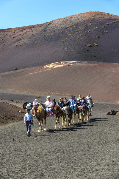 Les touristes montent sur des chameaux guidés par des locaux à travers le — Photo