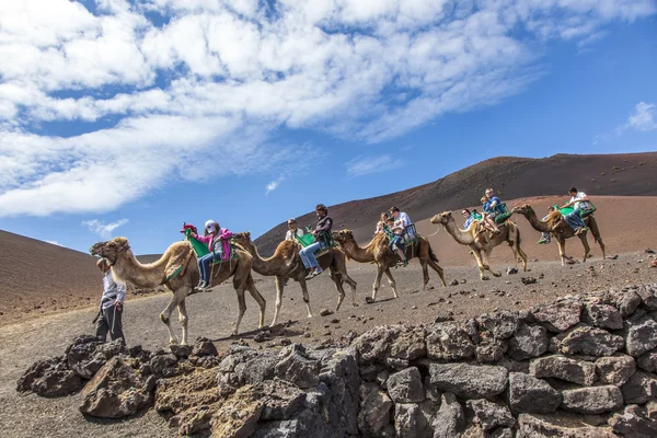 stock image Tourists ride on camels being guided by local through the