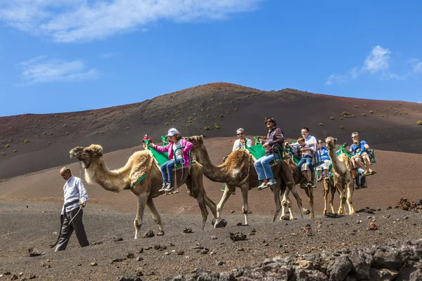 Los turistas montan en camellos guiados por locales a través de la — Foto de Stock