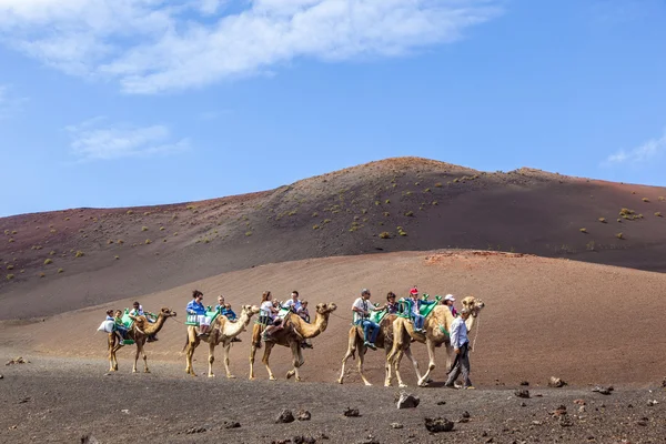 游客骑着骆驼正由本地通过指导 — 图库照片