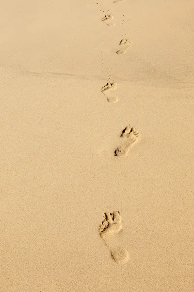 Passos humanos na praia de areia limpa — Fotografia de Stock