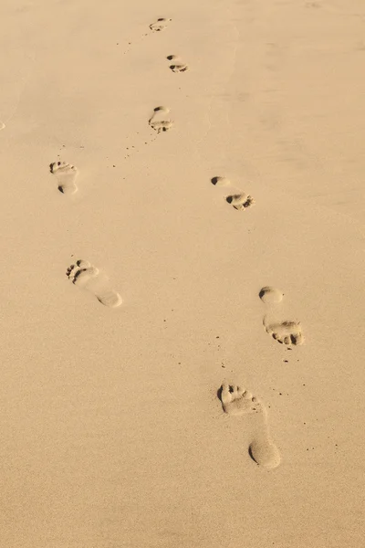 清澈沙滩上的人类脚印 — 图库照片