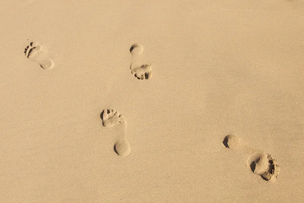 Lidské kroky na čisté písečné pláži — Stock fotografie