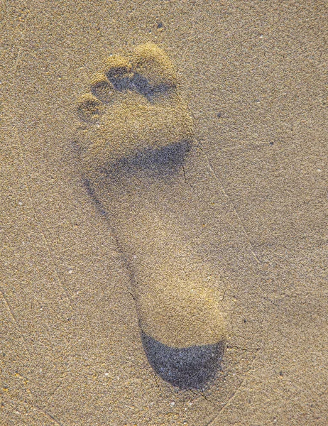 Kumsaldaki kumda ayak izleri. — Stok fotoğraf