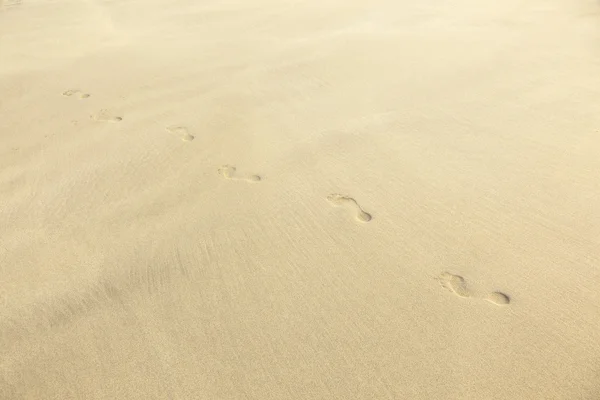 在海滩上的沙子的人类脚印 — 图库照片
