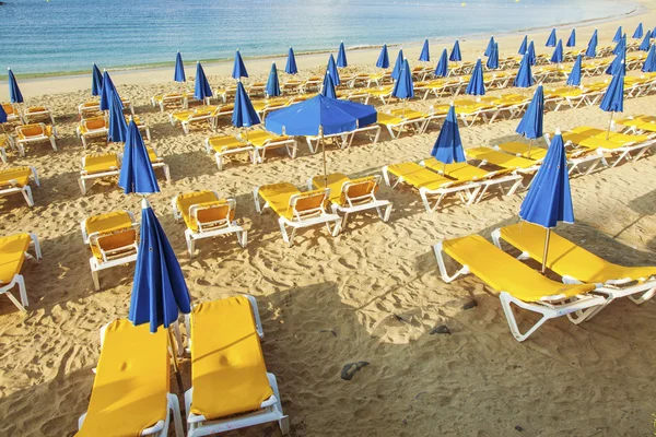 Парасольки і порожні пляжні кушетки на пляжі в ранковому світлі — стокове фото