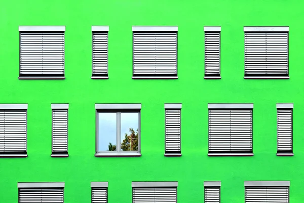 Шаблон окон с зеленой стеной — стоковое фото