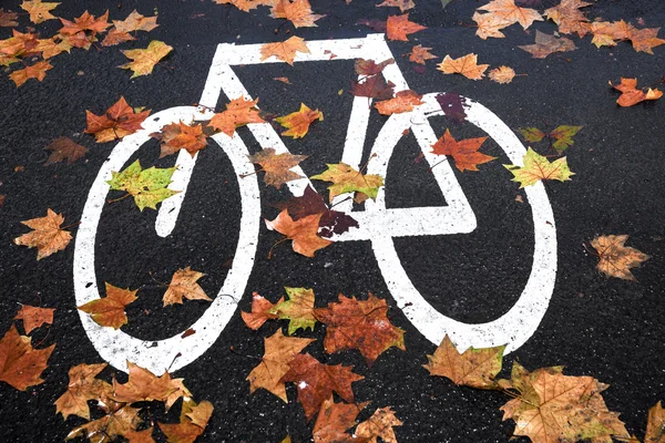 一条街的白色标记自行车车道 — 图库照片