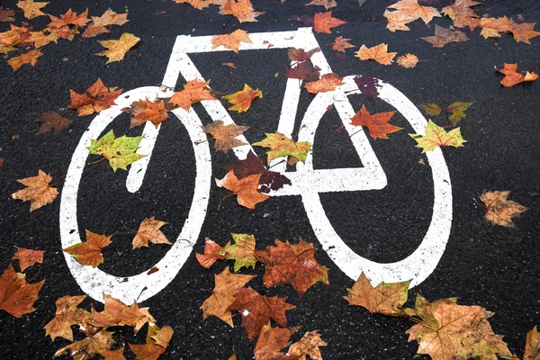 Voie cyclable marque blanche dans la rue — Photo