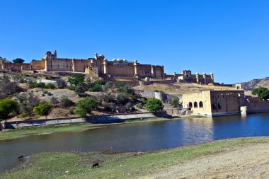 jaipur şehrinde ünlü amber fort