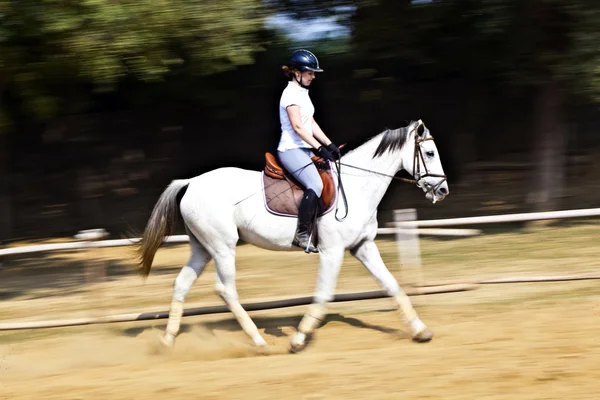 女性ライダーの乗馬コースで馬を列車します。 — ストック写真