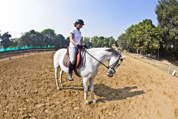 Jinete femenino entrena al caballo en el curso de equitación — Foto de Stock
