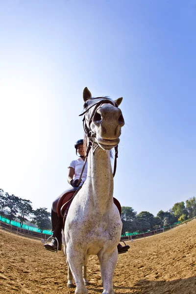Vrouwelijke rider treinen het paard in de cursus Paardrijden — Stockfoto
