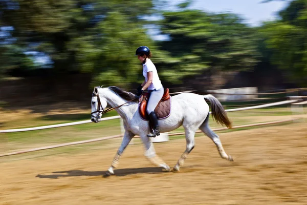 Female rider trains the horse in the riding course — Stock Photo, Image