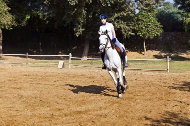 Female rider trains the horse in the riding course clipart