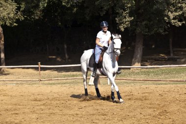 kadın binici at binicilik sahası içinde trenler