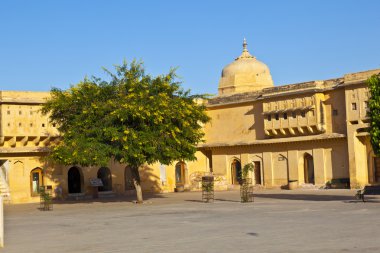 jaipur şehrinde ünlü amber fort