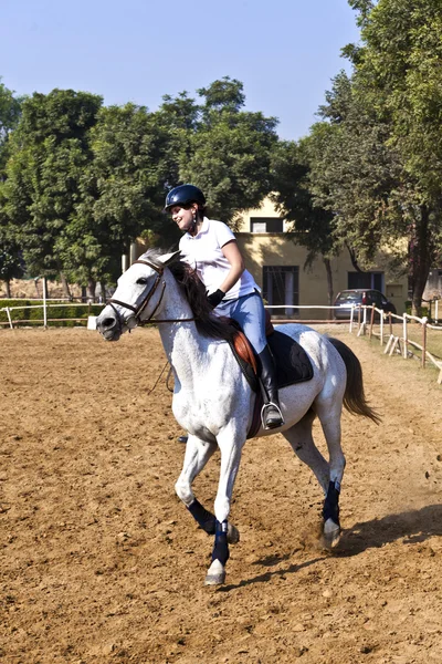 女性ライダーの乗馬コースで馬を列車します。 — ストック写真