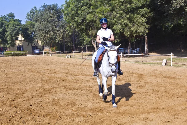 Женщина-всадник тренирует лошадь в верховой езде — стоковое фото