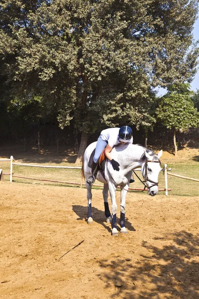 Женщина-всадник тренирует лошадь в посылке — стоковое фото