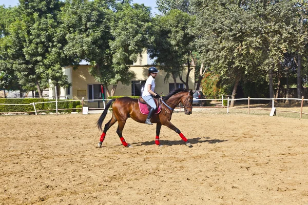 Kvinnliga ryttare tränar häst under ridning — Stockfoto