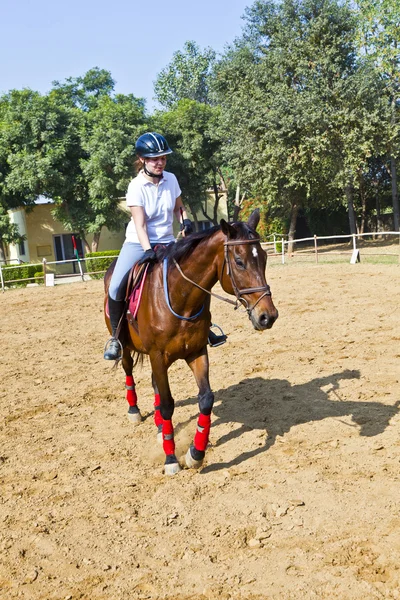 Женщина-всадник тренирует лошадь в верховой езде — стоковое фото