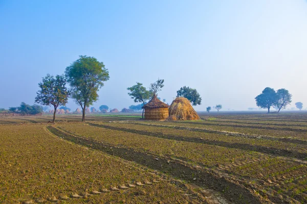 인도 라자 스 탄에서의 밀 짚 오두막 — 스톡 사진