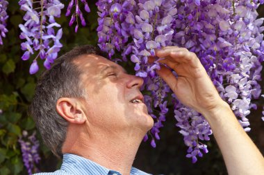 Attractive man is smelling park flowers clipart