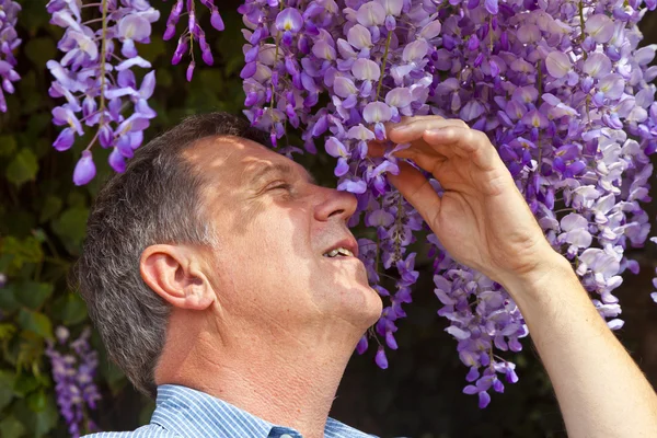 stock image Attractive man is smelling park flowers