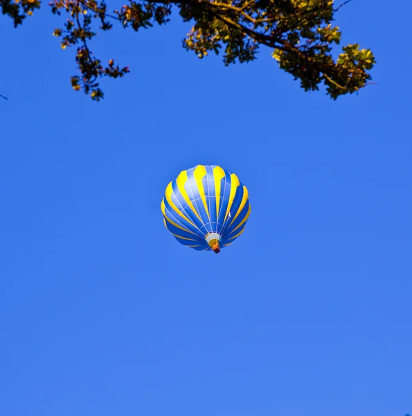 Balão sobre a floresta no céu azul — Fotografia de Stock