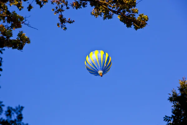 Palloncino sopra la foresta nel cielo blu — Foto Stock