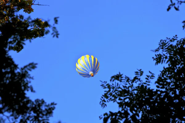 Balão sobre a floresta no céu azul — Fotografia de Stock