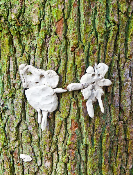 Мужчина и жена из-за жевательной резинки, размещенной на дереве — стоковое фото