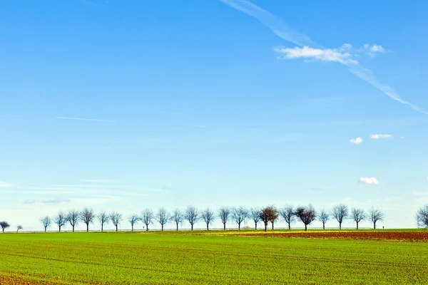 Acre recién arado con hilera de árboles en el horizonte —  Fotos de Stock