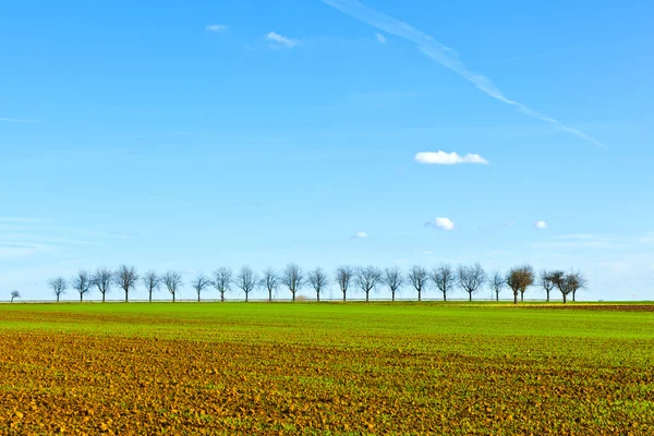 Świeżo zaorany akr z rzędem drzew na horyzoncie — Zdjęcie stockowe