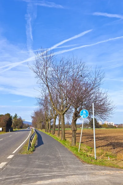 Велосипедная дорожка с деревьями и улицей — стоковое фото