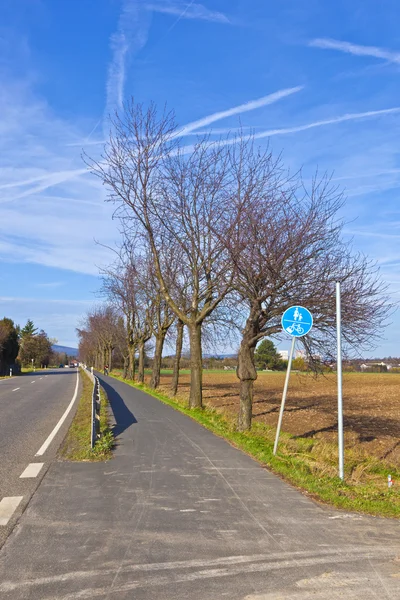 Велосипедная дорожка с деревьями и улицей — стоковое фото