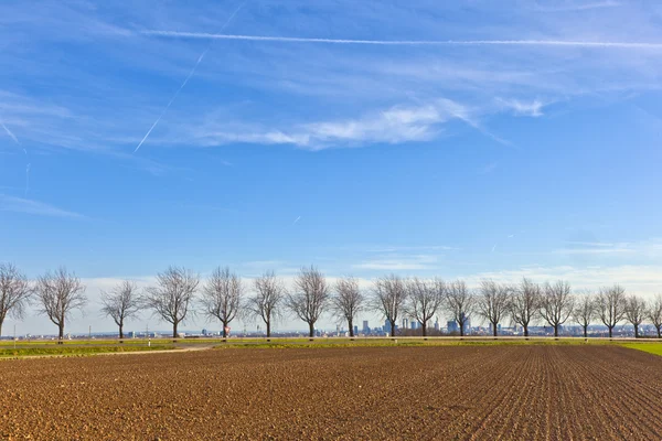 Аллея с полями и горизонтом Франкфурта на заднем плане — стоковое фото