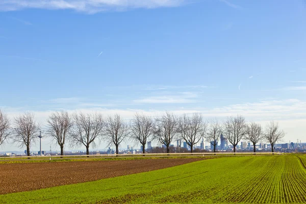 Callejón con campos y horizonte de Frankfurt en el fondo — Foto de Stock