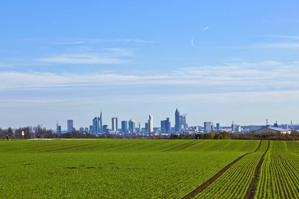Felder mit Skyline von Frankfurt — Stockfoto